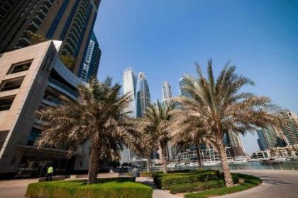 Picture for category Commercial Properties for Rent